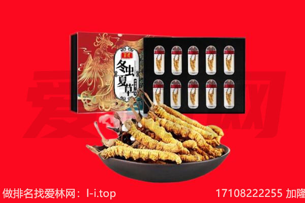 海南乐东县回收虫草.jpg